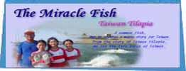CyberFair Winner - The Miracle Fish Taiwan Tilapia