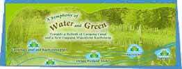 CyberFair Winner - A Symphony of Water and Green